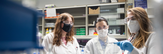 workers in lab