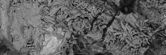 SEM banner image 2
