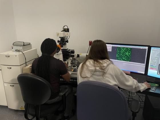 Researchers utilizing a spinning disk confocal microscope